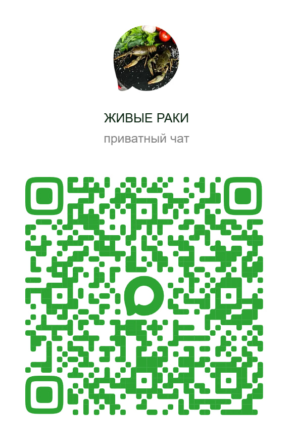 QR-код MAX